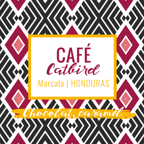 café de spécialité catbird marcala honduras chocolat caramel yellow peak torrefacteur pau
