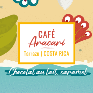 café de spécialité aracari terrazu costa rica chocolat caramel yellow peak torrefacteur pau