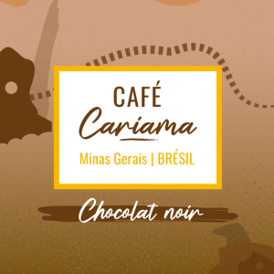 Café de spécialité Cariama process pulped natural aux notes de chocolat noir sirupeux, région Minas Gerais du Brésil