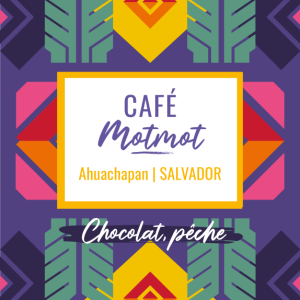 Café de spécialité Motmot process nature aux notes de chocolat et de pêche, région Ahuachapan du Salvador