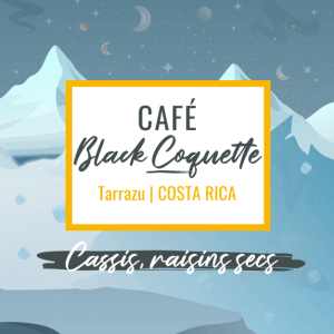 Café de spécialité Black Coquette process black honey aux notes de cassis et de raisins secs, région Tarrazu du Costa Rica