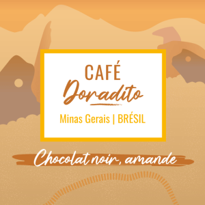 Café de spécialité Doradito process naturel aux notes d'amande et de chocolat noir, région Minas Gerais du Brésil