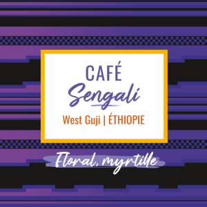 Café de spécialité Senegali process nature aux notes florales et de myrtille, région West Guji d'Ethiopie