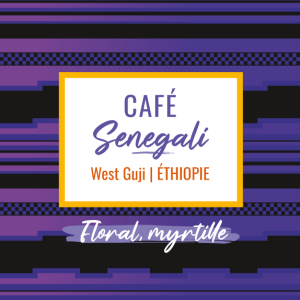 Café de spécialité Senegali process nature aux notes florales et de myrtille, région West Guji d'Ethiopie