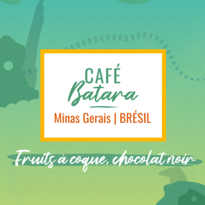 Café de spécialité Batara process naturel cerrado aux notes de fruits à coque et chocolat noir, région Minas Gerais du Brésil
